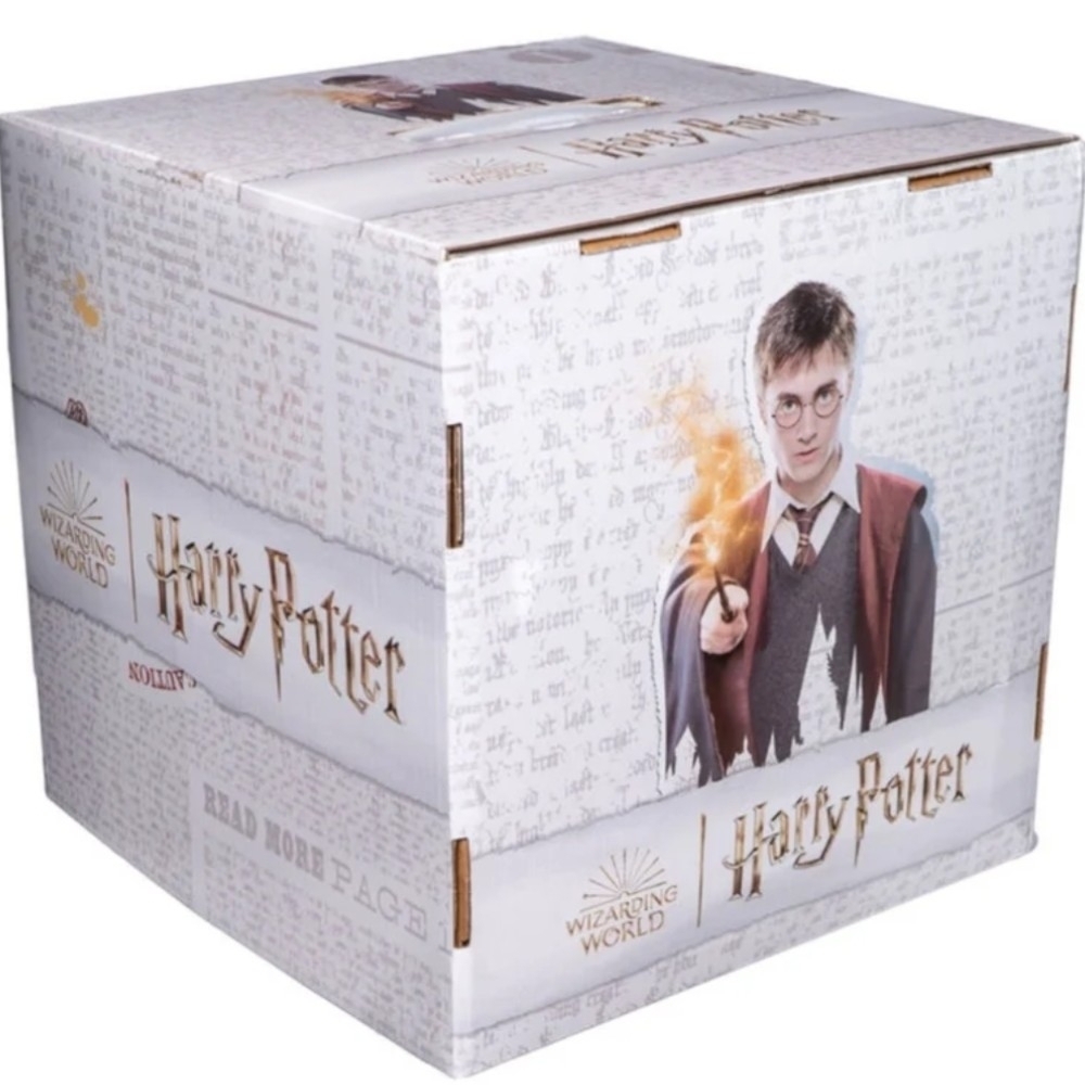 Harry Potter Not So Mystery Box